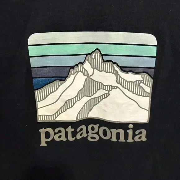 Patagonia Line Logo Ridge Pocket Responsibili-tee Shirt - Picture 7 of 9